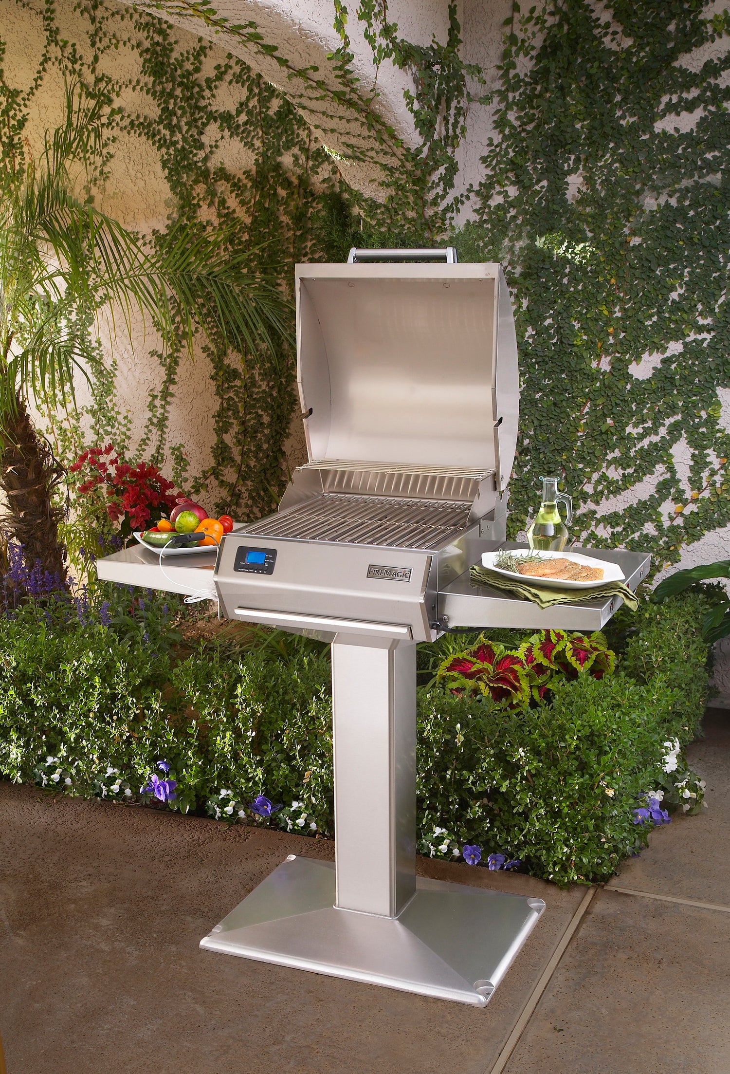 Electric Grills